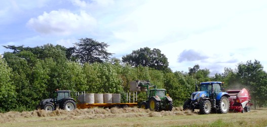 chc haymaking